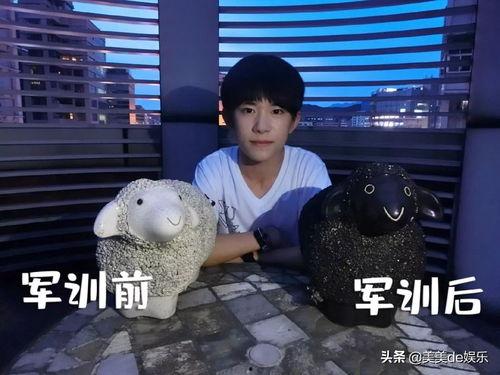 小陈吃瓜不吐籽视频下载,趣味瞬间尽收眼底