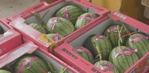 完整版吃瓜大礼包视频,视频内容深度解析