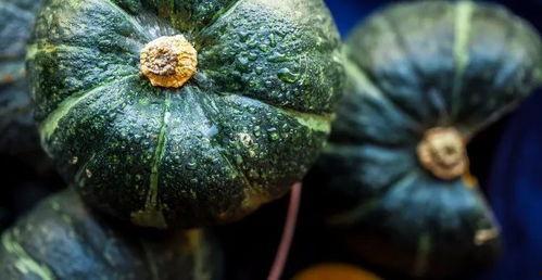 真实的吃瓜视频,一场视觉与味蕾的双重盛宴