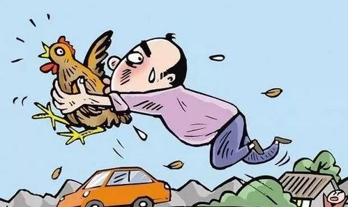 偷鸡吃瓜视频大全,盘点热门偷鸡吃瓜视频大全