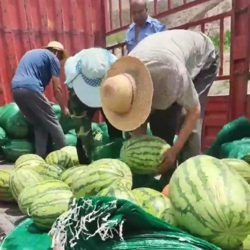 西安吃瓜比赛事件视频,现场视频曝光引热议