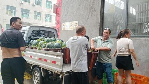 永康吃瓜视频,揭秘网络热点背后的真相与笑料