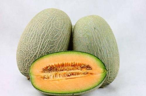 小蒋吃哈密瓜视频,甜蜜瞬间尽收眼底