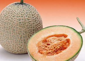 猪吃哈密瓜配音视频,配音视频萌态十足