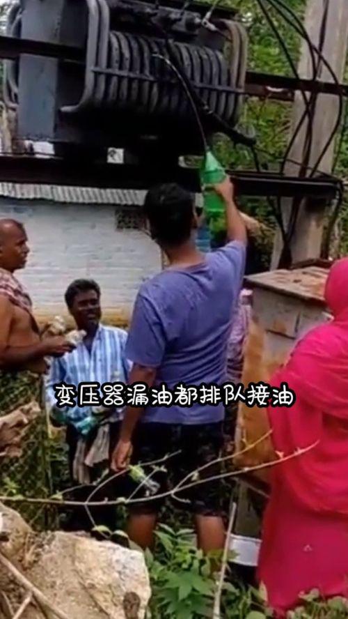 卧龙区吃瓜群众事件视频,一场网络舆论的风暴与反思