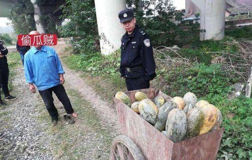 徐闻吃瓜事件真相视频,揭秘真相背后的惊人内幕