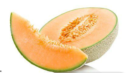 柯基吃哈密瓜视频,哈密瓜盛宴萌态十足