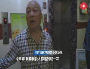 吃瓜群的视频来源于哪里,探寻网络热点背后的真相