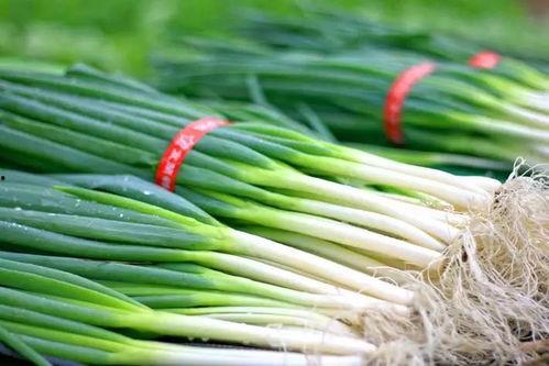 小孩吃瓜吃葱视频,小宝贝吃瓜吃葱萌态十足