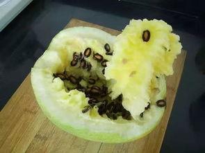 籽瓜生芽可以吃吗视频讲解,视频讲解揭秘