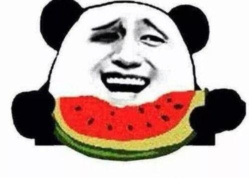 二哈吃瓜群众笑话段子视频,搞笑段子视频集锦