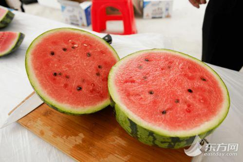 上海人全国吃瓜视频最新,一场跨越地域的美食文化盛宴