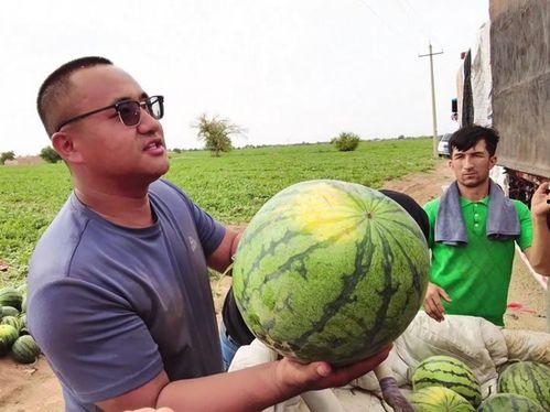 青海最新吃瓜事件新闻视频,揭秘网络热议背后的真相