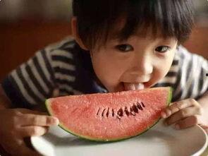 笨笨吃瓜助阵视频