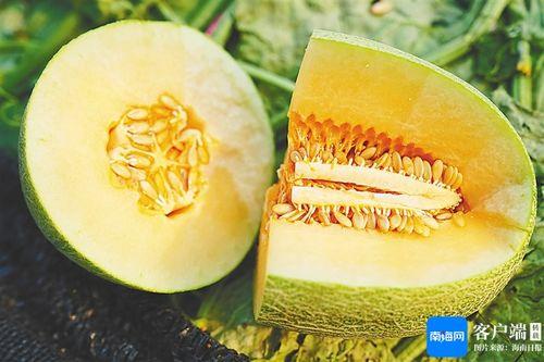 吃牛角蜜瓜视频大全集在线观看,甜蜜滋味尽收眼底