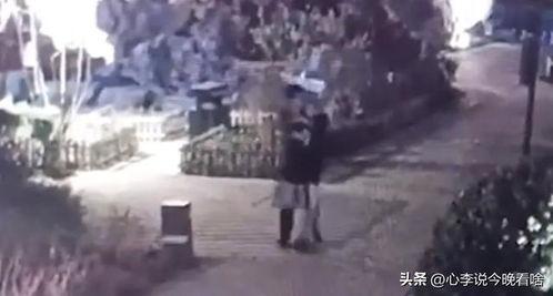 探长在线吃瓜视频免费观看,免费观看揭秘悬疑大案