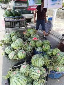 椒江吃瓜事件真相视频,揭秘真相背后的惊人内幕