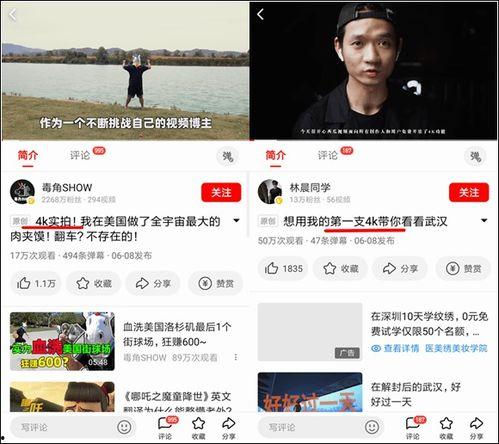 吃瓜视频文字转来转去,文字流转背后的娱乐狂欢