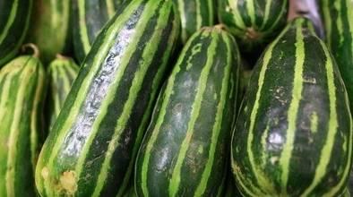 花梢瓜怎么吃最好吃视频,视频教你如何烹饪最佳口感