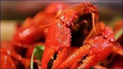 莱芜吃瓜小龙虾事件视频,一场网络狂欢背后的真相揭秘