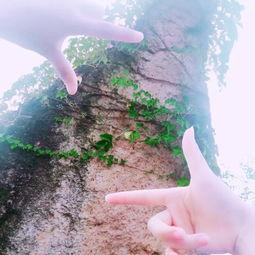 瑜伽吃瓜视频,揭秘瑜伽圈里的趣味瞬间