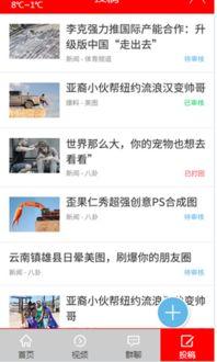 头条搞笑吃瓜视频,头条视频带你领略人间百态