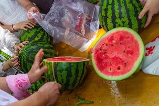 任丘有吃瓜视频吗现在,揭秘当地吃瓜视频背后的故事